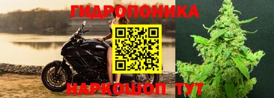 молекула духа Белорецк