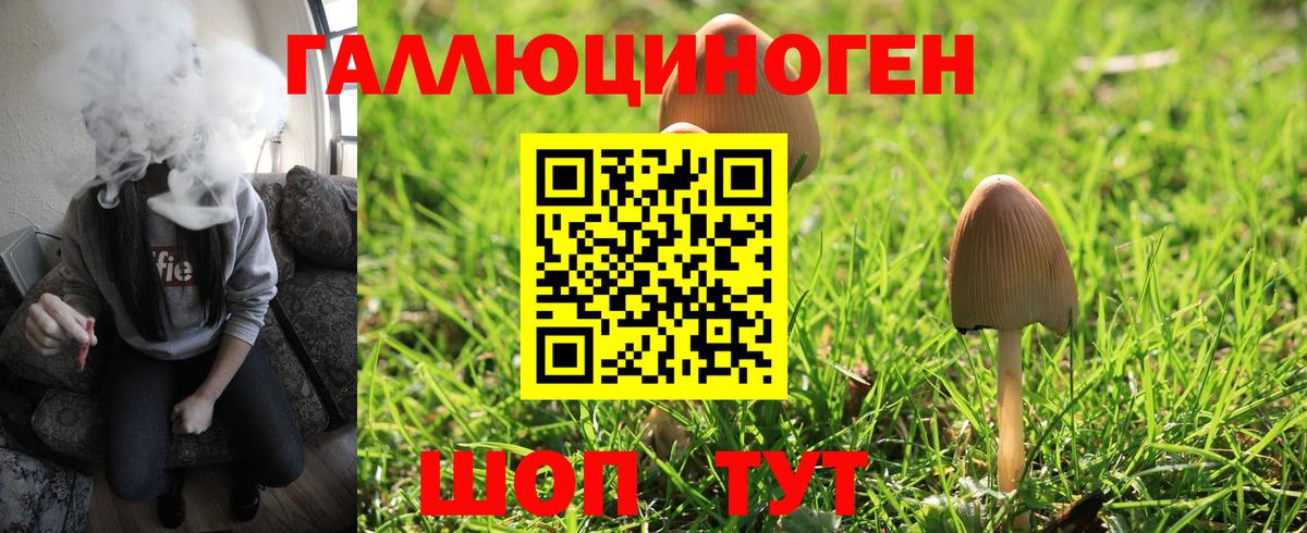 Галлюциногенные грибы ЛСД Ахтубинск