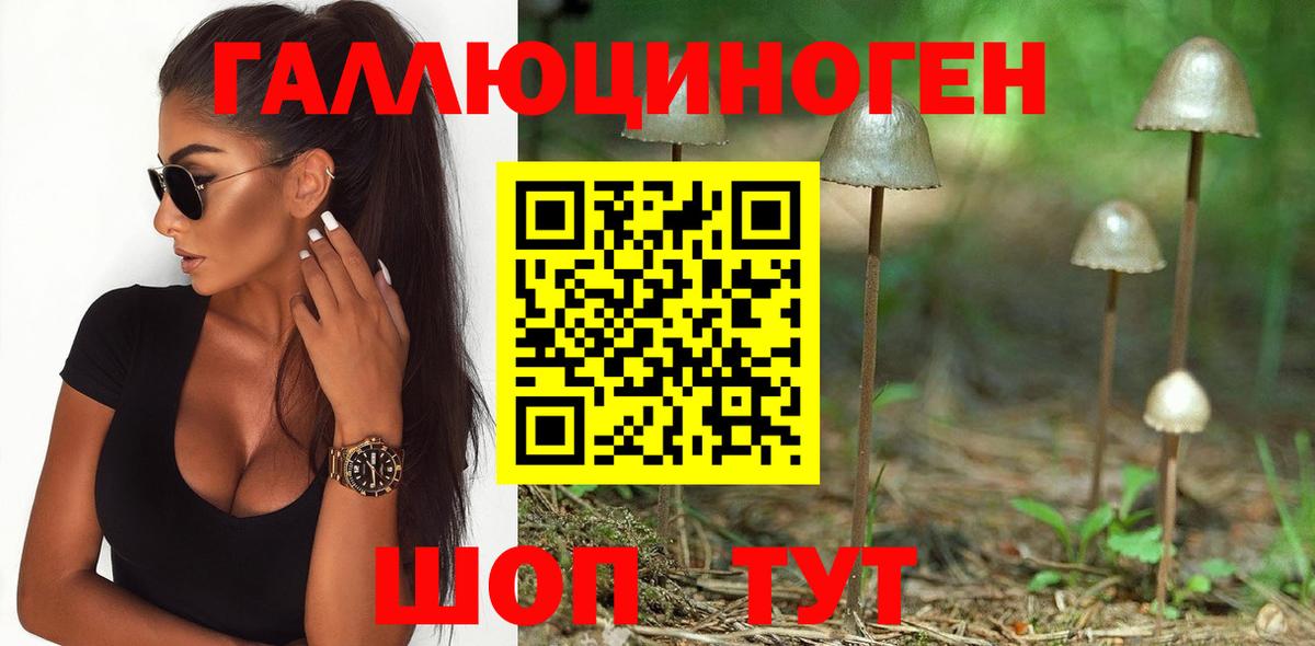 Псилоцибиновые грибы ЛСД  Вход с VPN  где купить наркотик  Ахтубинск 